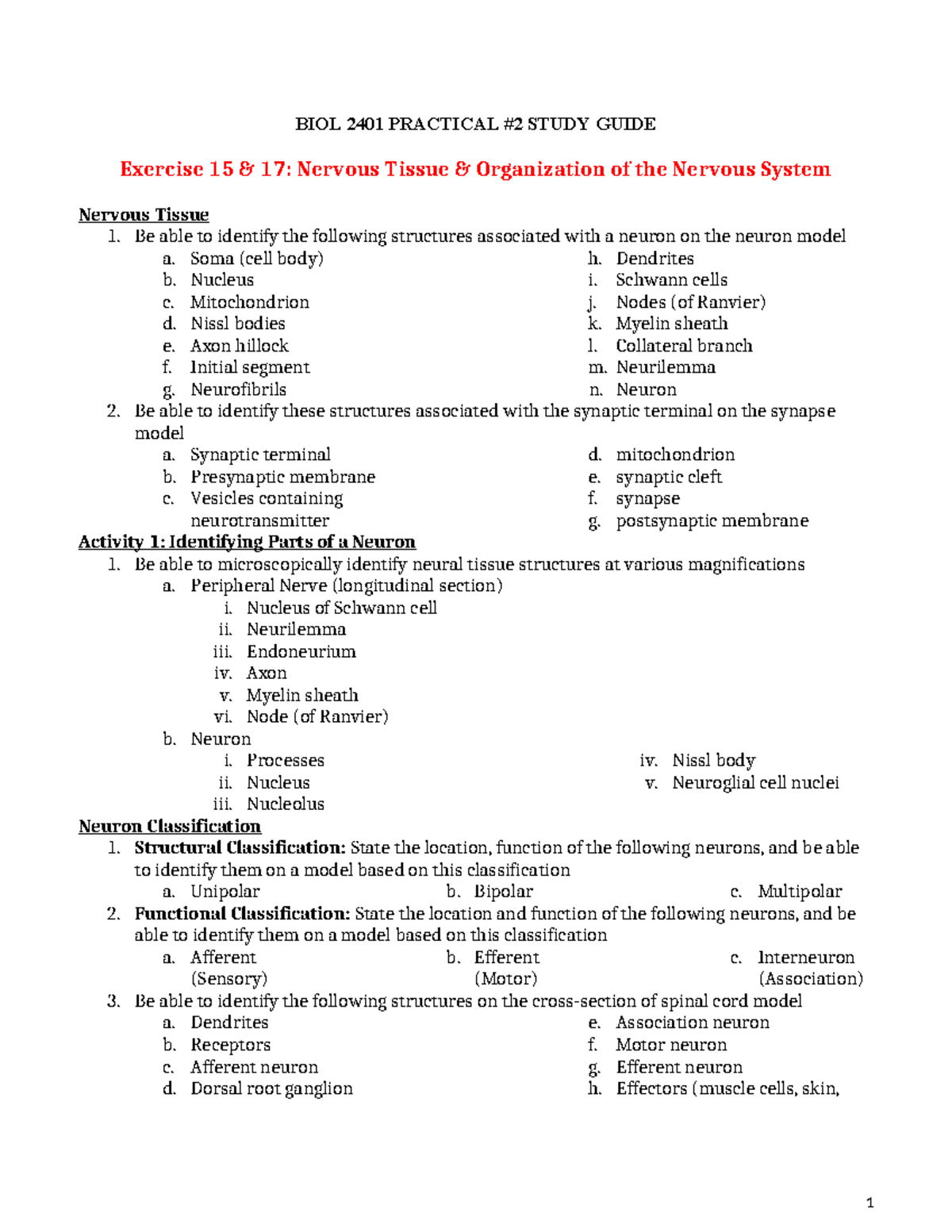BIOL 2401 Practical 2 Study Guide: Nervous System and Ear Anatomy - Studocu