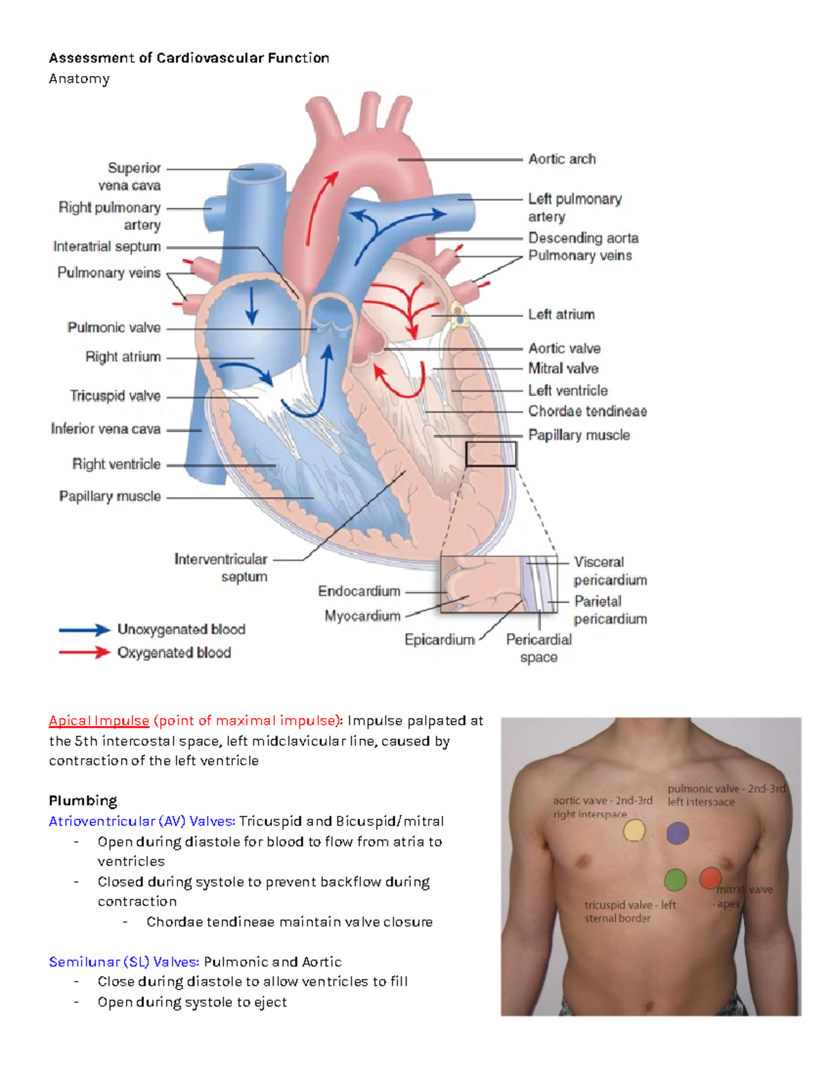 Ch.21 Cardiovascular Function Assessment: Key Concepts & Mechanisms ...
