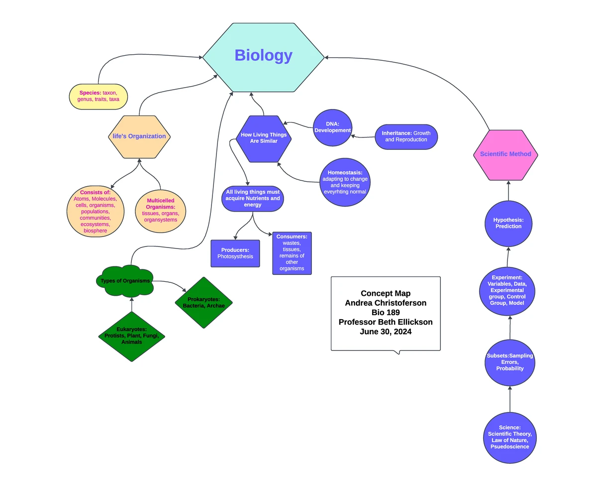Chp #3 Concept Map Cells Structure and its relation - Cell Structure ...