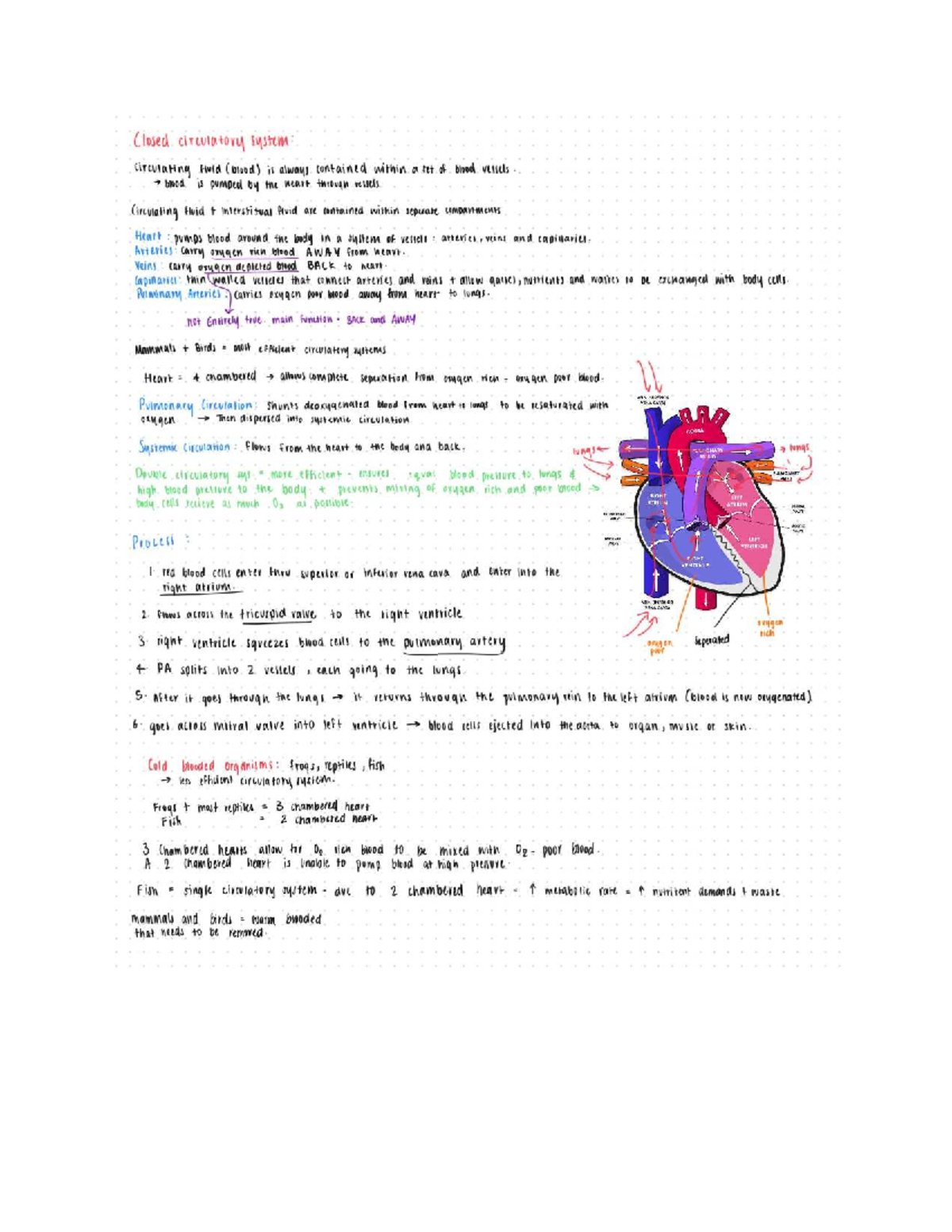 Prelim Notes on Circulatory System (BIO 101) - Studocu