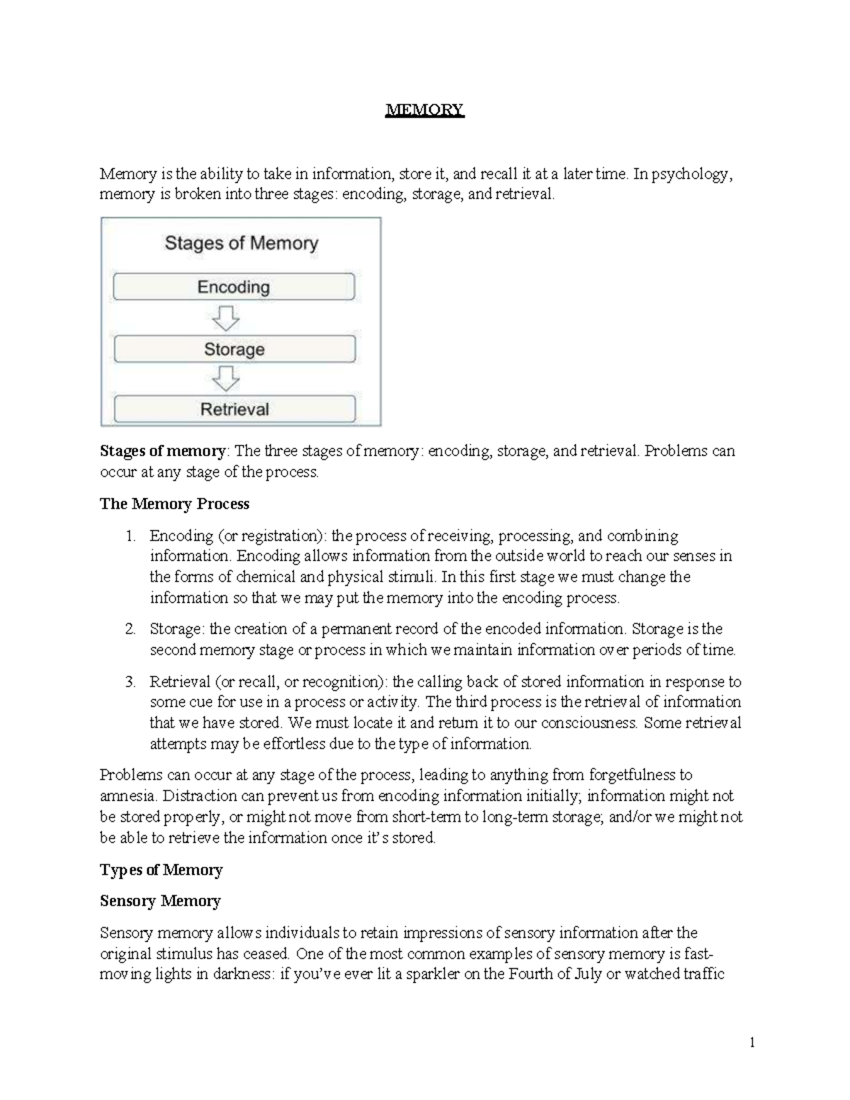 MEMORY 101: Understanding Memory Stages and Types - Studocu