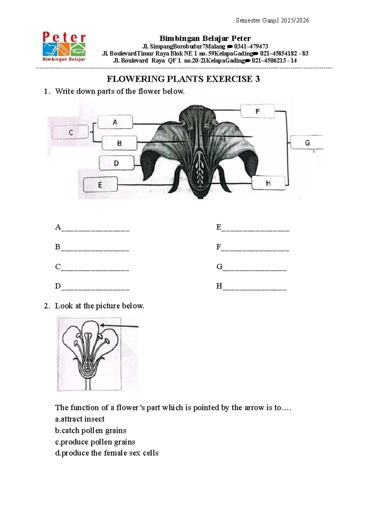 Semester Ganjil Flowering Plants Exercise 3: Parts and Functions of ...