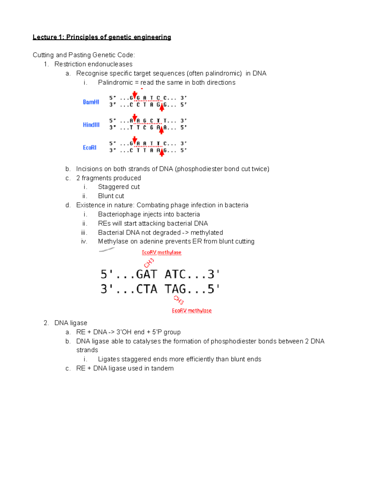 BB10006 4 Genetic Engineering - Lecture 1: Principles of genetic ...