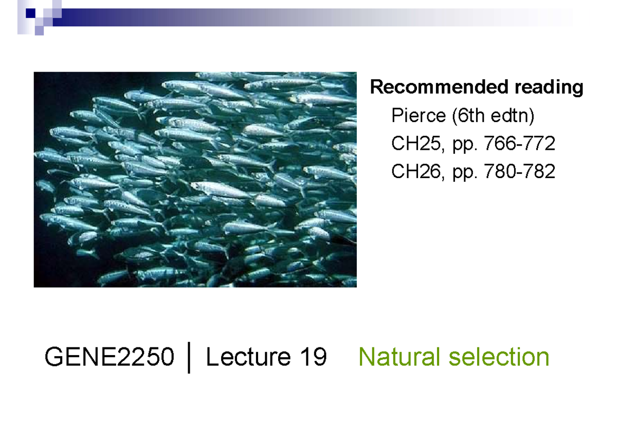 GENE2250 Lecture 19: Natural Selection and Allele Frequencies - Studocu