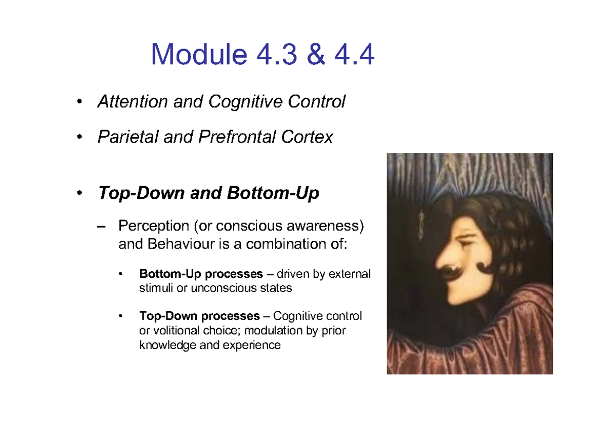 NEUR1020_Module 4.3 & 4.4: Attention, Cognitive Control, and Behavior ...