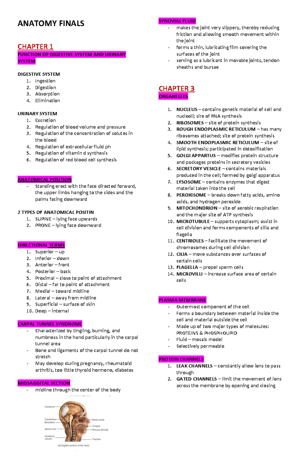 Carbohydrate Metabolism: Final Exam Notes for BIO 101 - Studocu