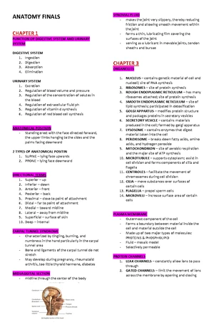 Carbohydrate Metabolism: Final Exam Notes for BIO 101 - Studocu