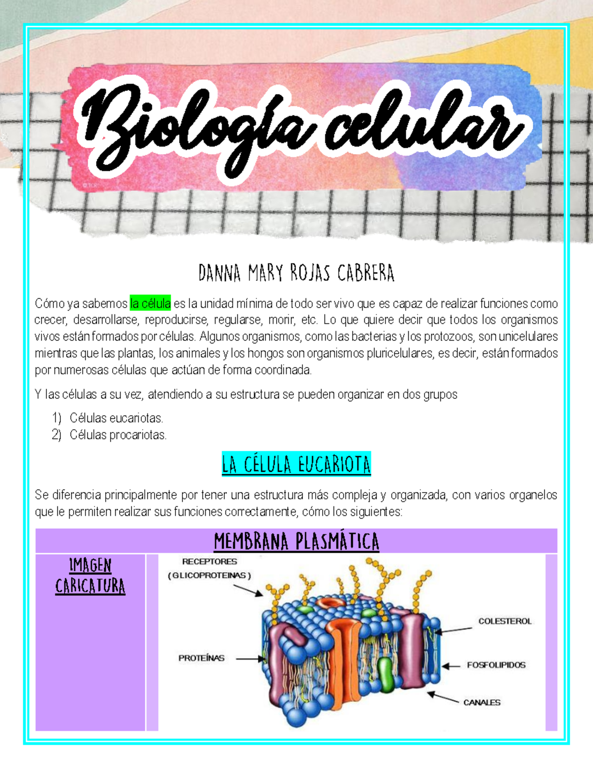 Organelos de la Célula Eucariota: Estructuras y Diferencias con Procariotas - Document Preview