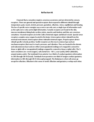 Individual Performance Profile: Anatomy and Physiology Online Practice ...