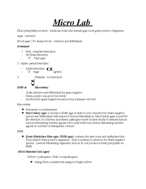 Microbiology Lab Exam 2 Study Guide - Microbiology Lab Exam 1 Study ...