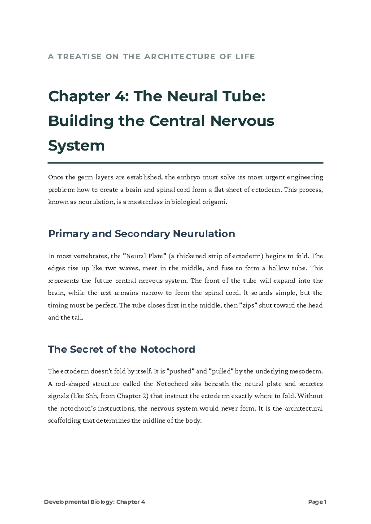 Developmental Biology: Chapter 4 - The Neural Tube Formation - Studocu