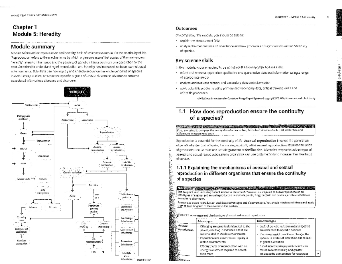 HSC YEAR 12 BIOLOGY STUDY NOTES: Module 5 - Heredity Overview - Studocu