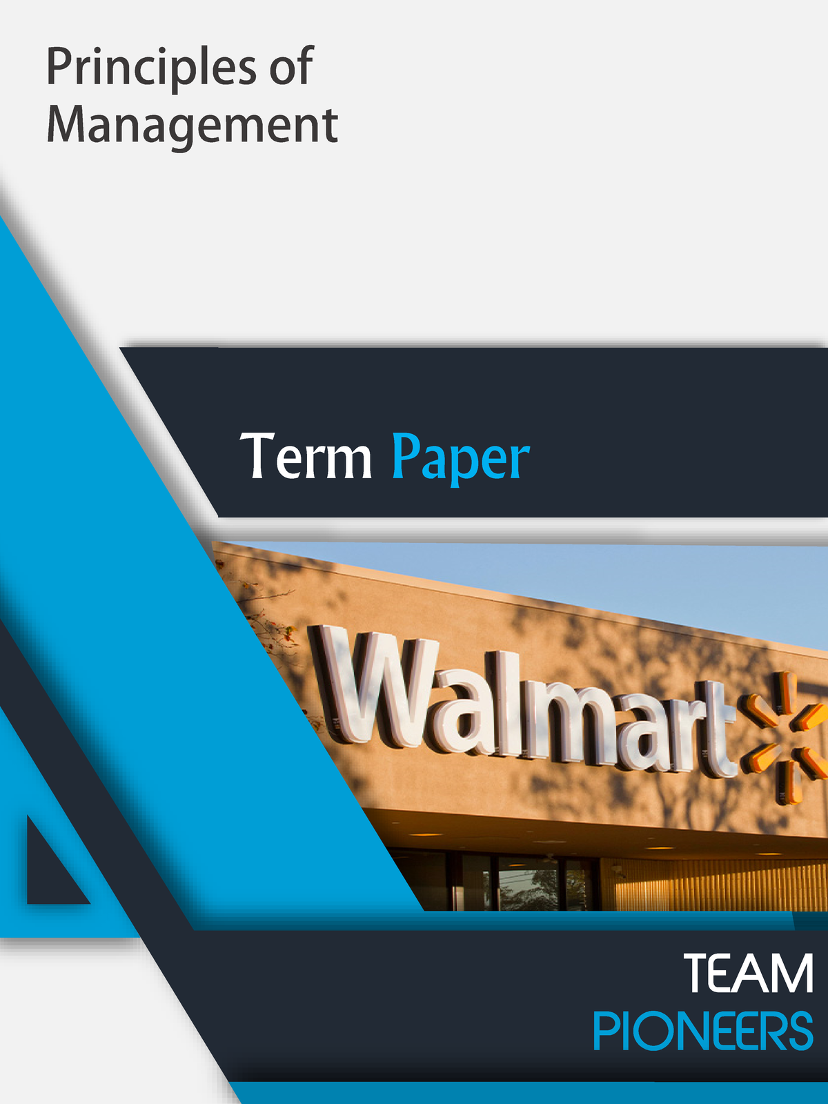 Management (MGT 101) Term Paper: Planning, Leading & Controlling at ...