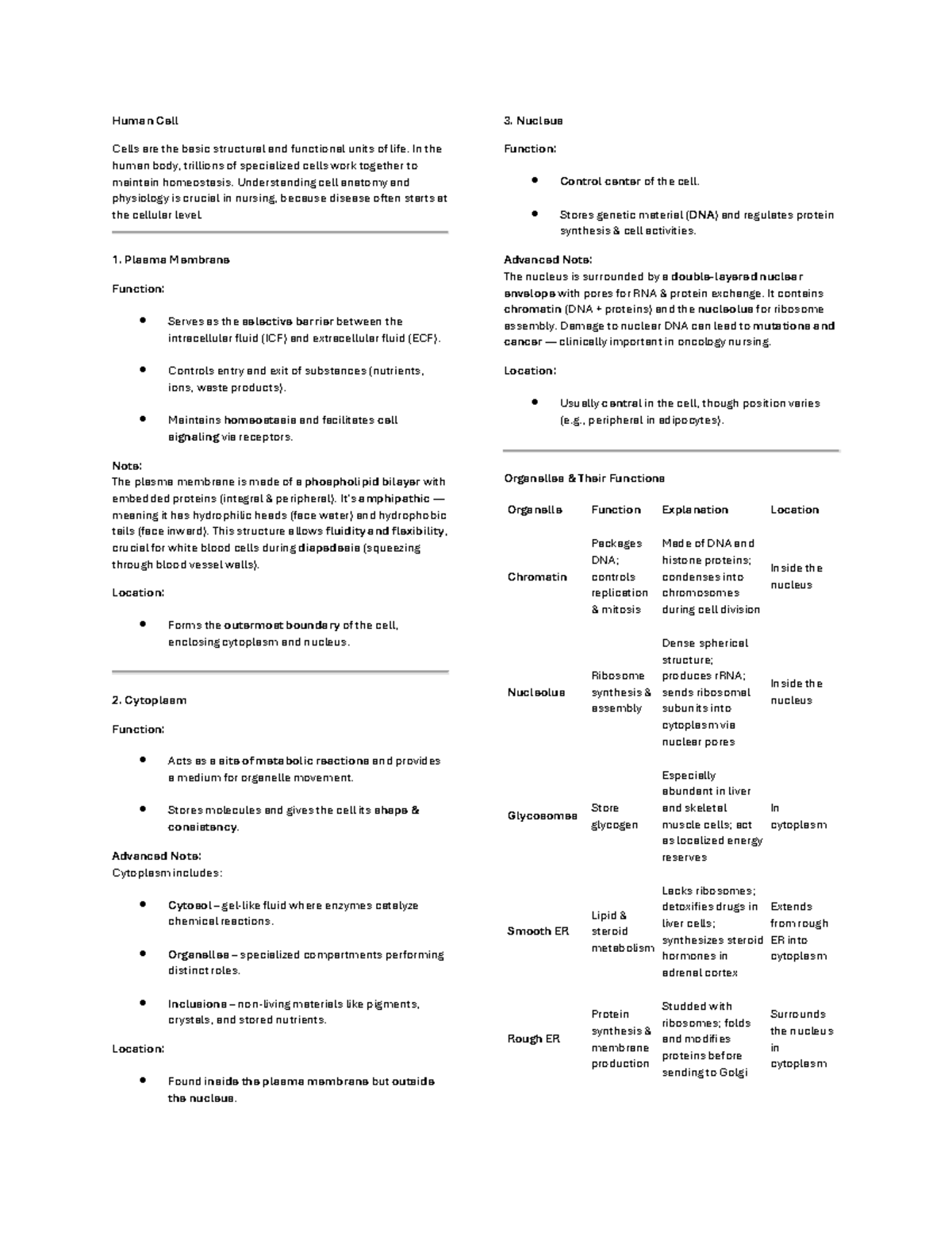 Human Cell - Lecture Notes on Nucleus and Cytoplasm Functions - Studocu