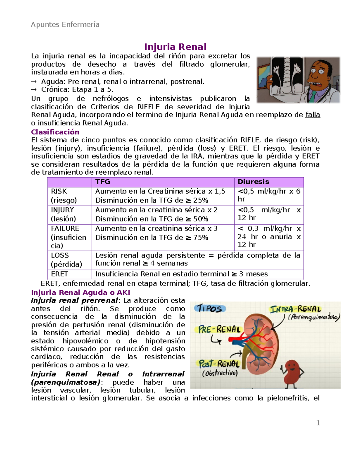 Apuntes de Enfermería: Injuria Renal y Clasificación RIFLE - Studocu