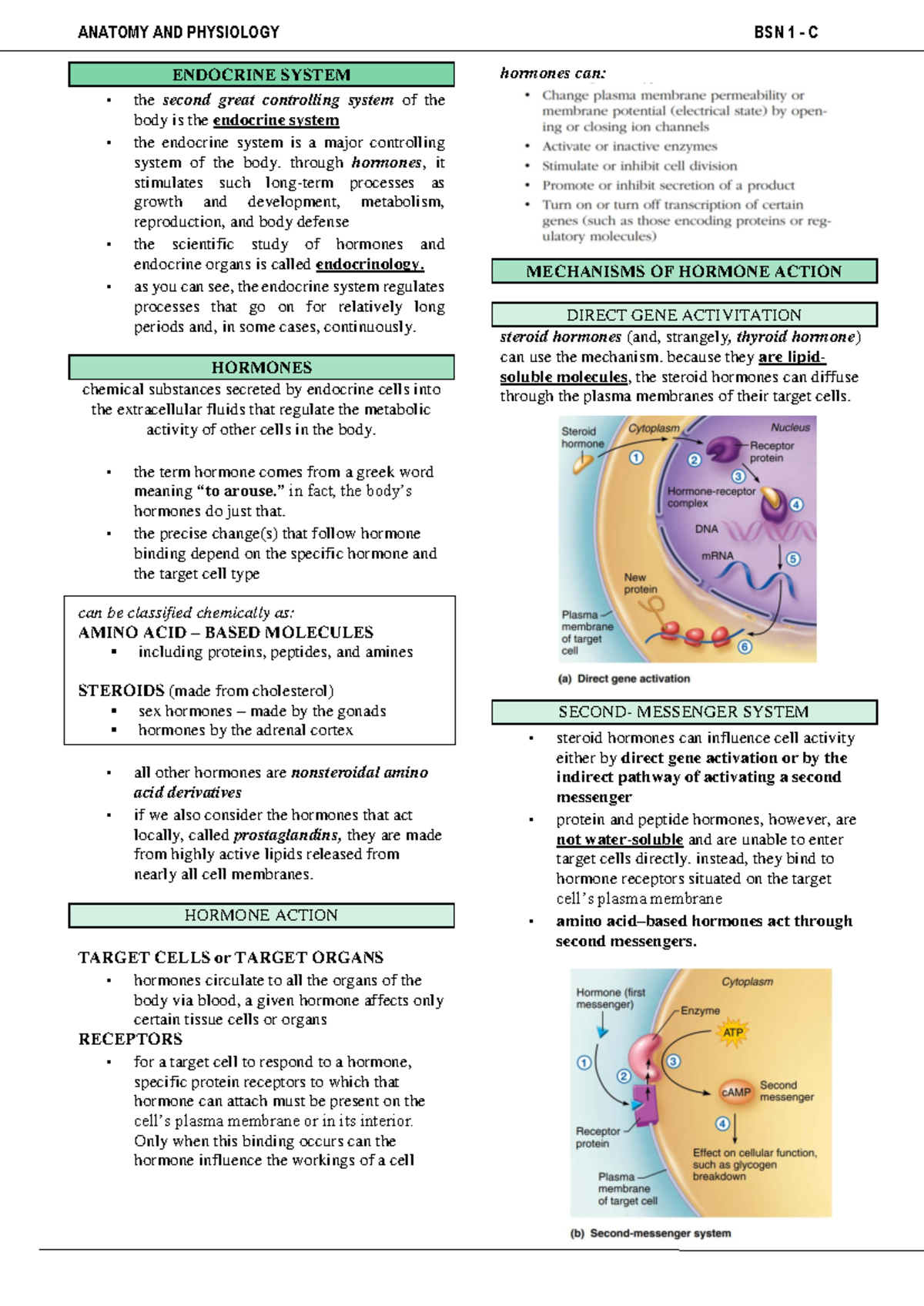 Anaphy Trans Final Exam Notes: Endocrine System Overview - Studocu