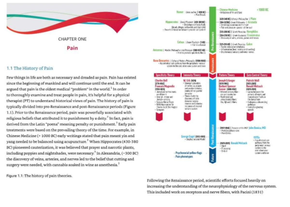 Integrative Pain Sciences: Exam 1 Review on Pain Mechanisms - Studocu