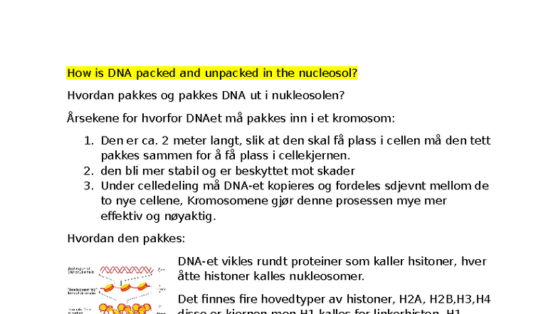 DNA Packaging and Unpacking in Nucleosol: Theme C Insights - Studocu