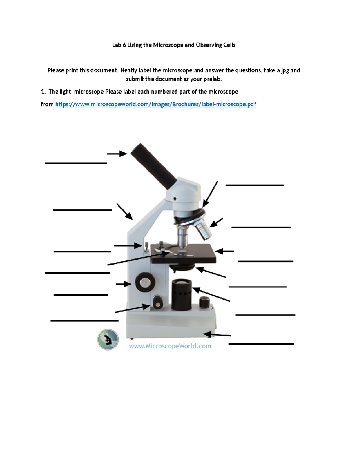 Pre-lab 6 microscope and cells - Lab 6 Using the Microscope and ...
