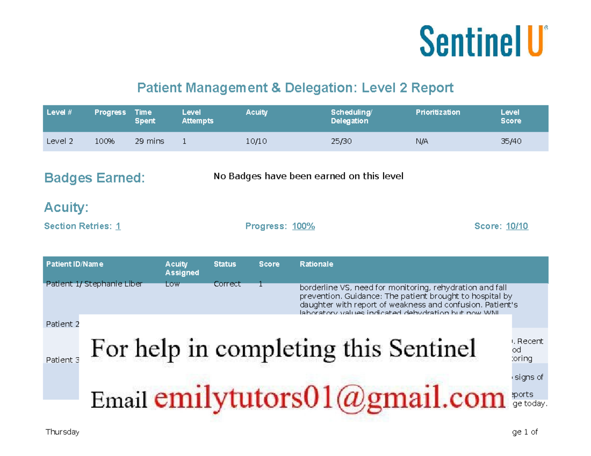 Sentinel U Patient Management & Delegation: Level 2 Report - Document Preview