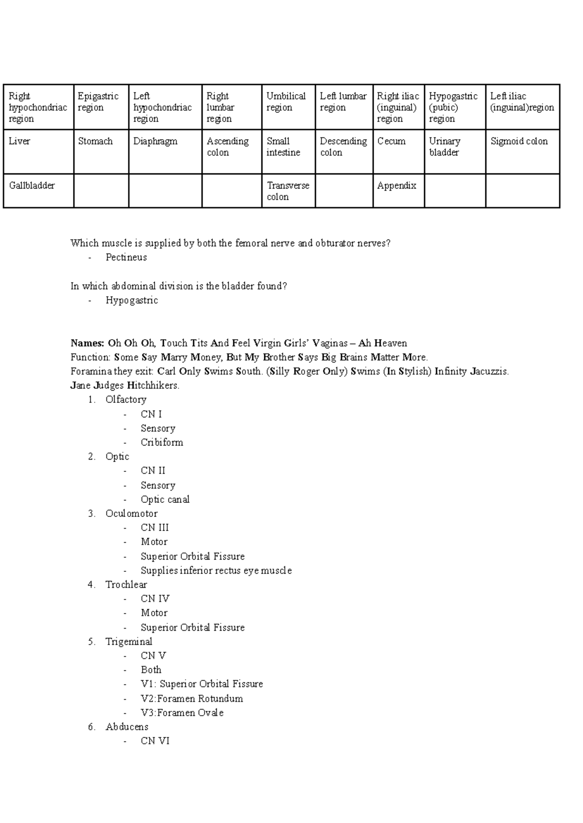 Anatomy Key Messages for Final Exam: Regions, Nerves, and Functions ...