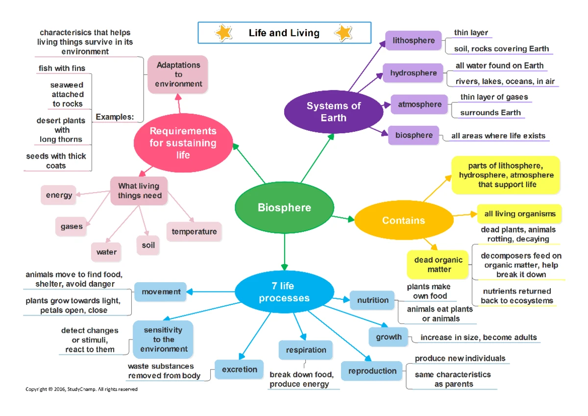 Natural Sciences Grade 7 CAPS Class Notes: Life, Living & Biodiversity ...