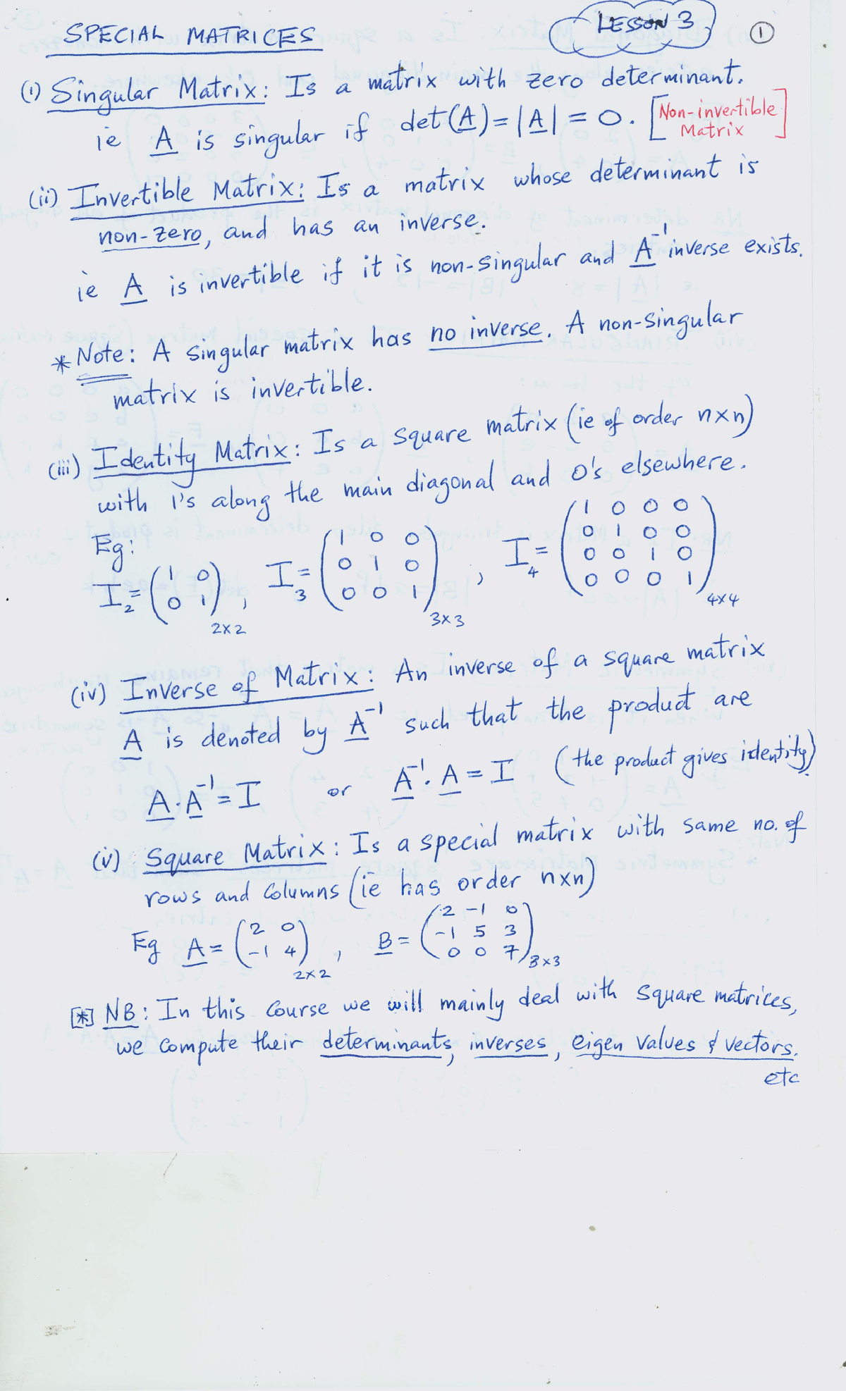 Lesson 30001 - LECTURE NOTES - SPECIAL MATRICES LESSON 3 1 (1) Singular ...