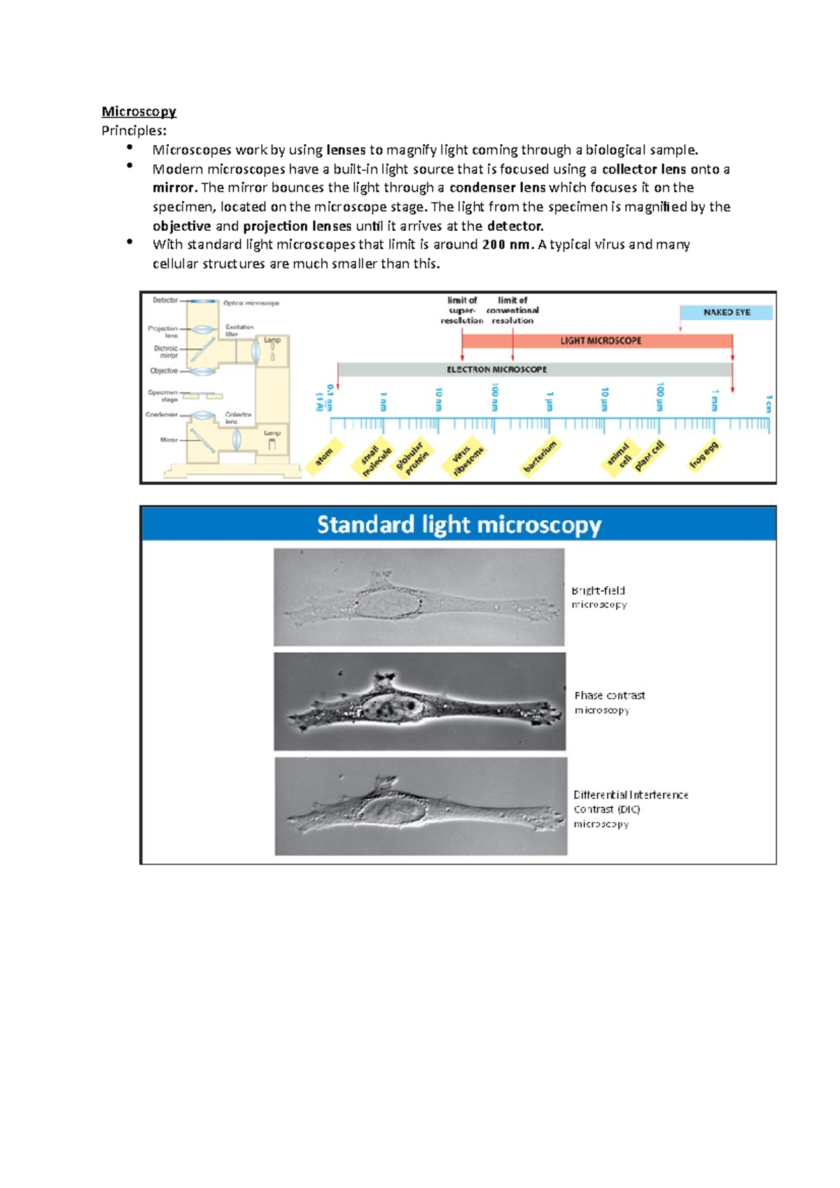 Microscopy - Microscopy Principles: Microscopes work by using lenses to ...