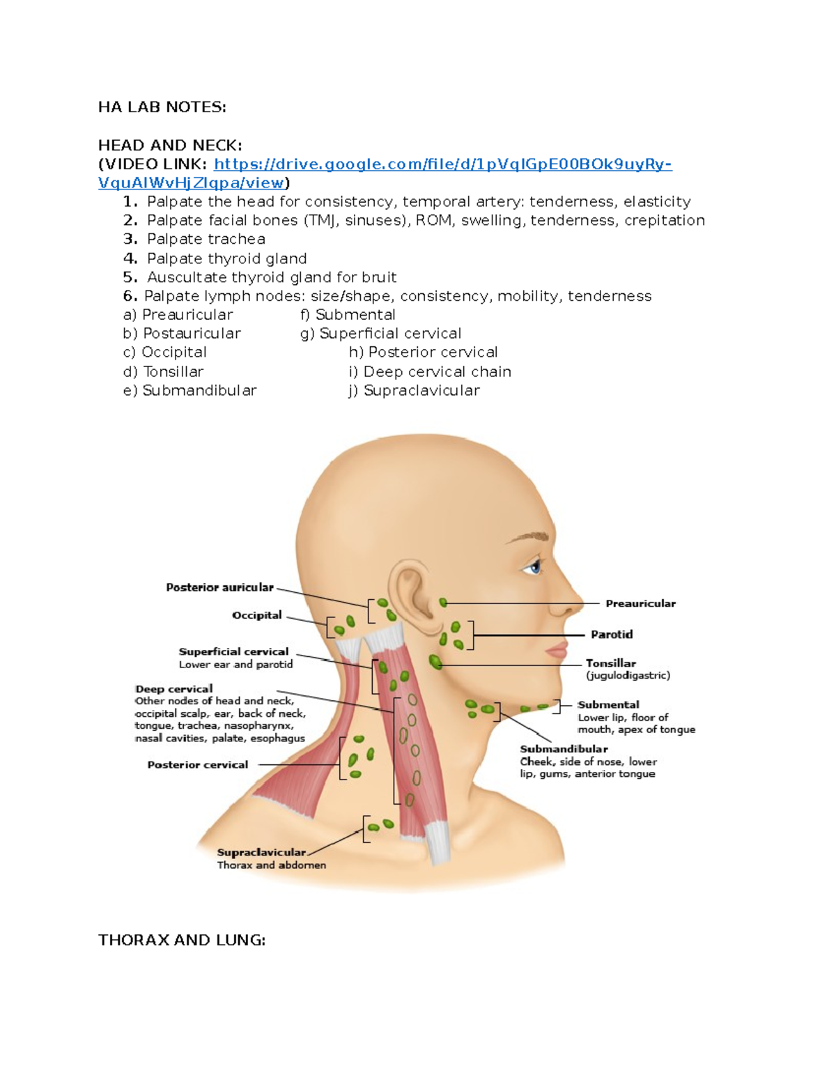 HA 101 Final Exam Lab Notes: Comprehensive Health Assessment Summary ...