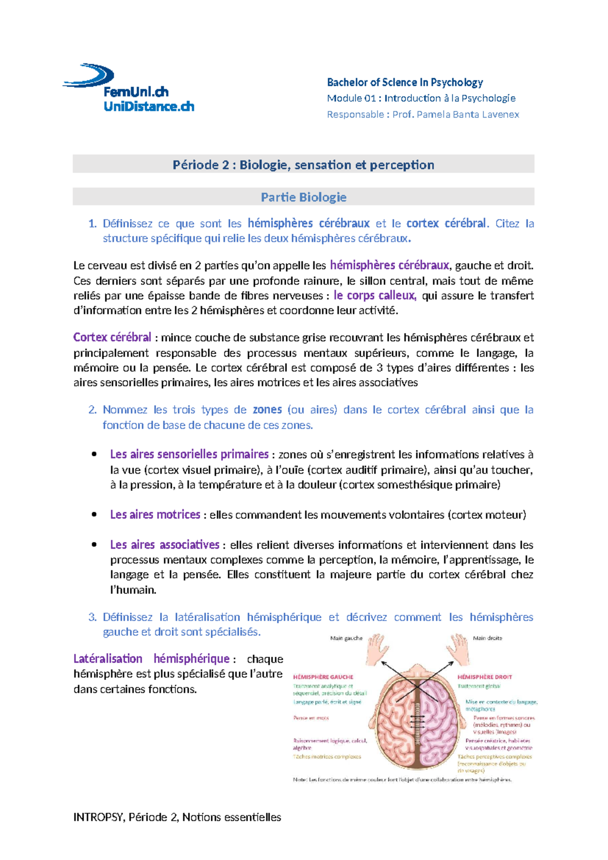 INTROPSY, Période 2 : Notions Essentielles en Psychologie - Studocu
