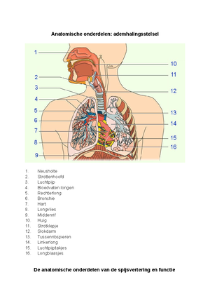 [Solved] Leg de termen isotoon hypotoon en hypertoon in relatie tot ...
