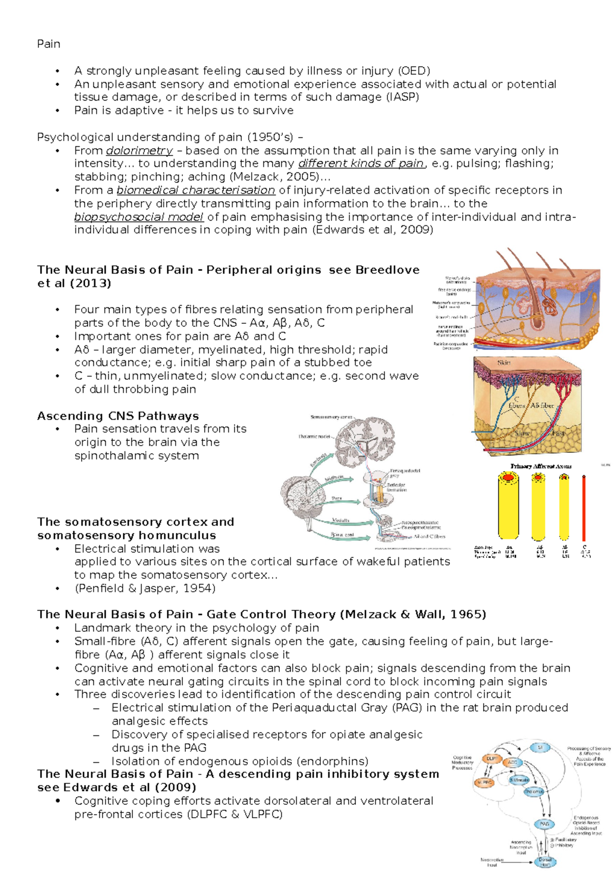 Psychology of Pain - Lecture Notes 3 Analysis and Overview - Studocu