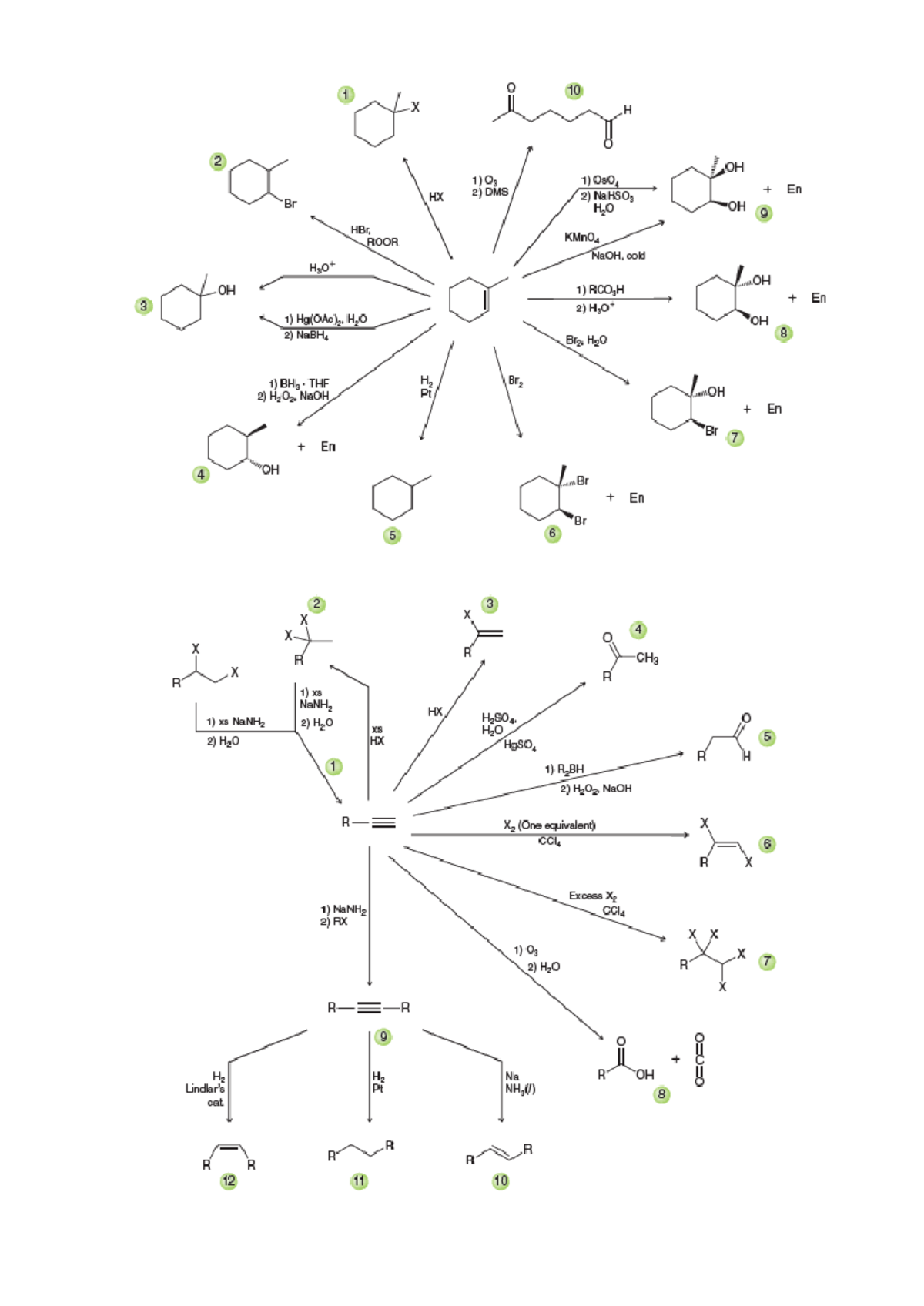 Organic Sheet v1 - o 10 1 X H o 2 OH 1) O3 1) OsO4 En HX 2) DMS 2 ...