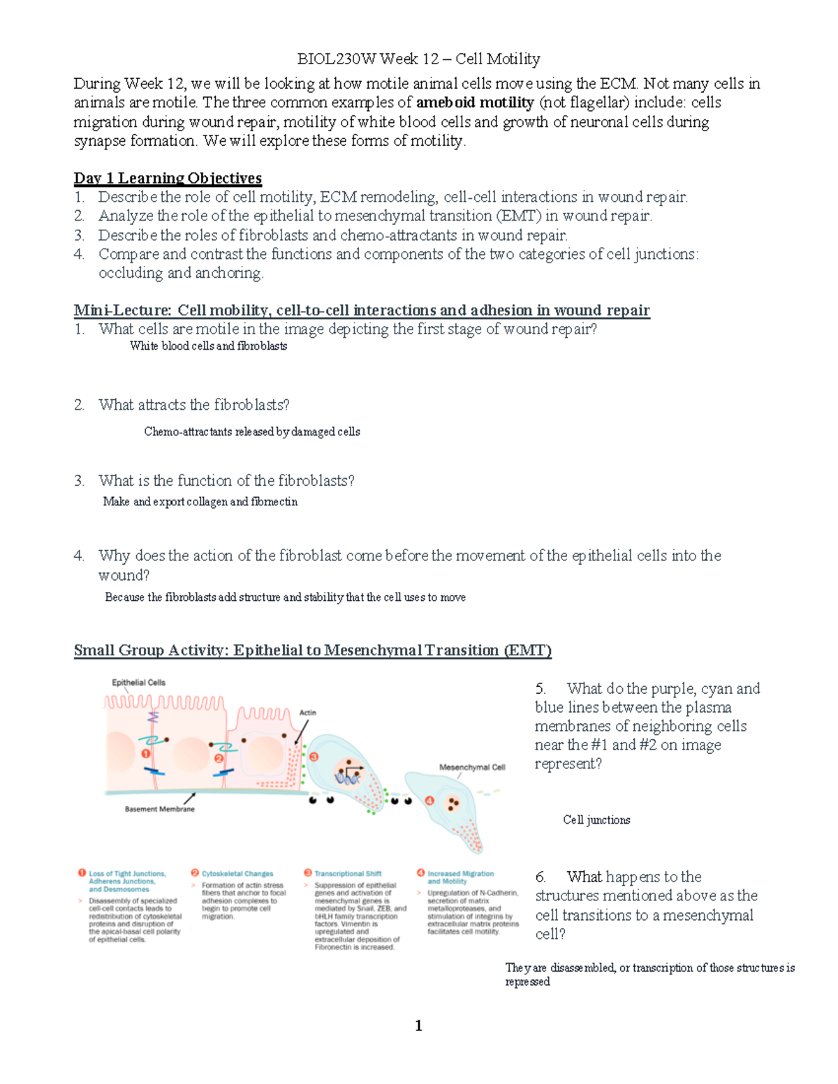 BMSC 301 Week 12 Lecture Notes: Cell Motility & Wound Repair - Studocu
