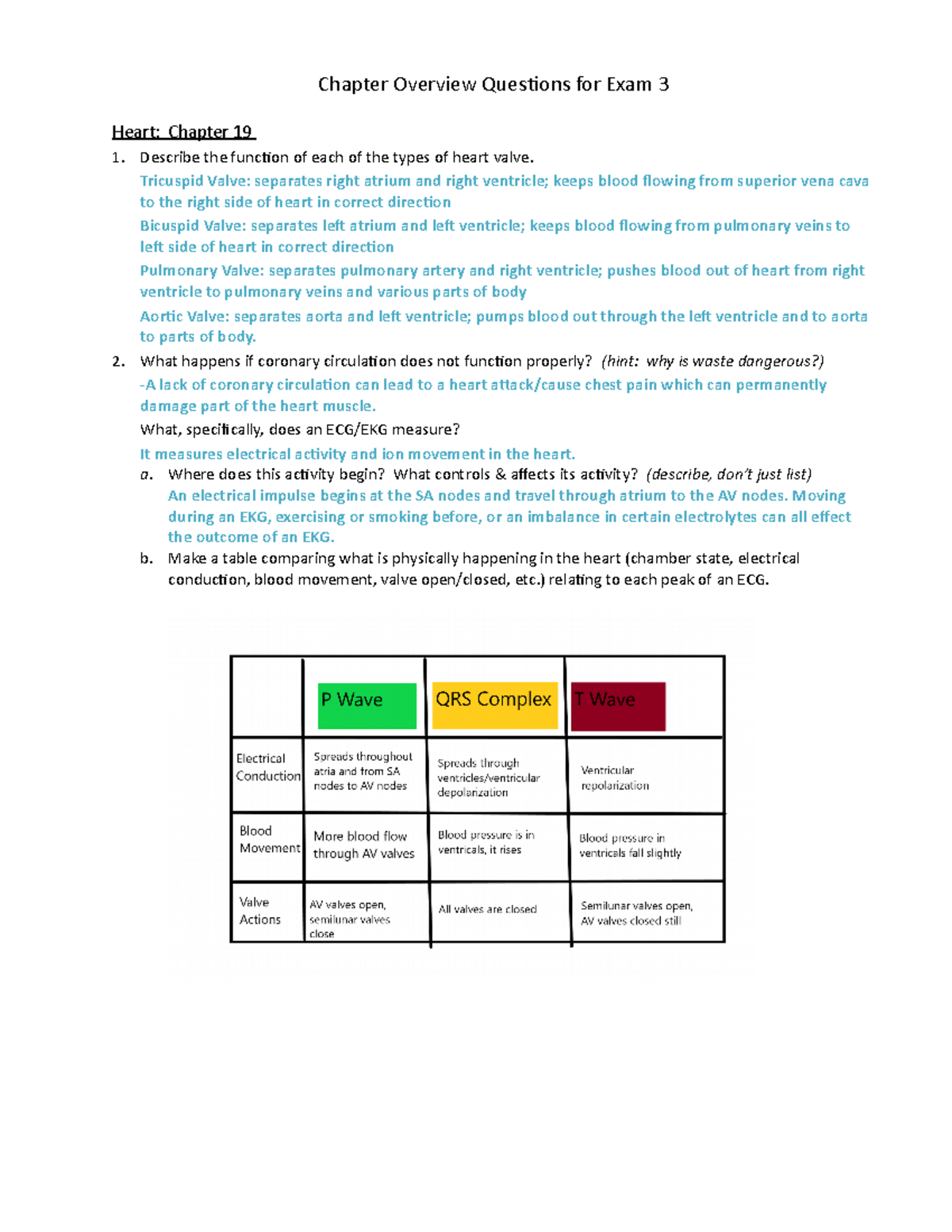 Exam 3 Study Guide: Heart and Blood Vessel Concepts - Studocu