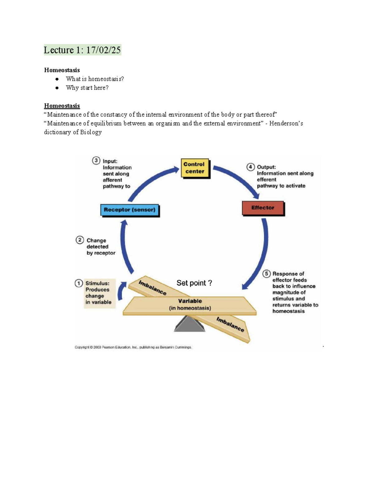 Human Biology Notes: Lecture 1 - Homeostasis and Regulation - Studocu