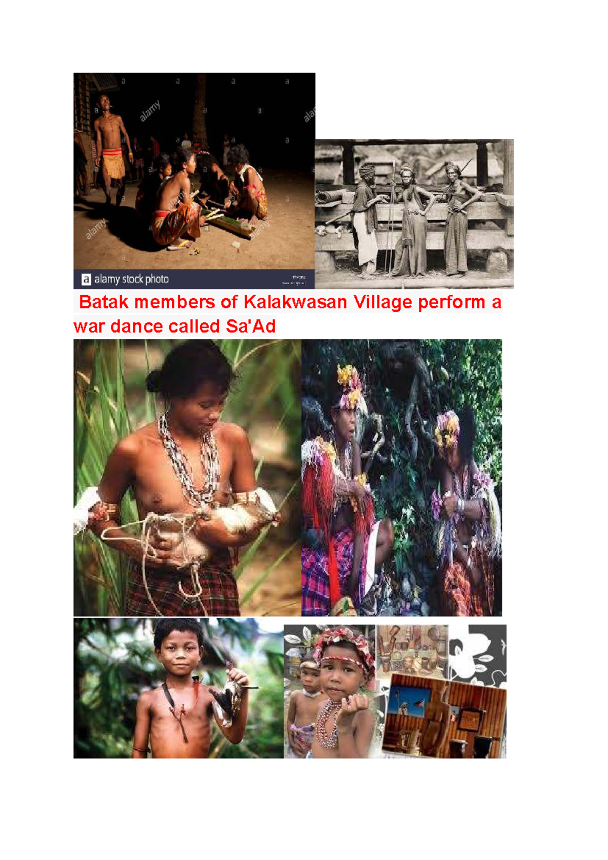 Cultural Insights on Batak Tribe: Family, Marriage, and Traditions ...
