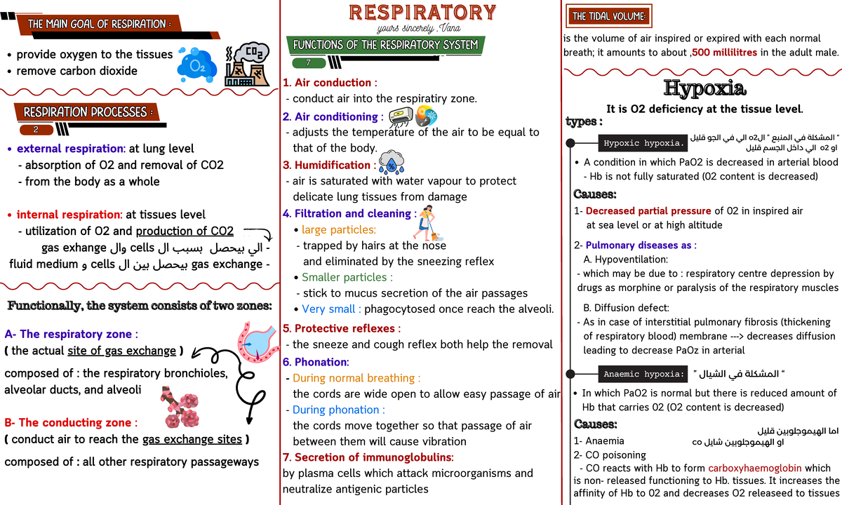 Physiology of respiratory system & renal physiology - external ...