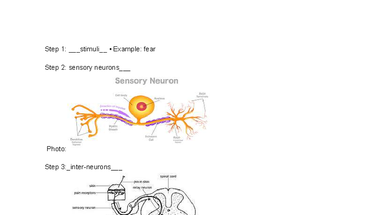 Untitled document (95) - Step 1: stimuli • Example: fear Step 2 ...