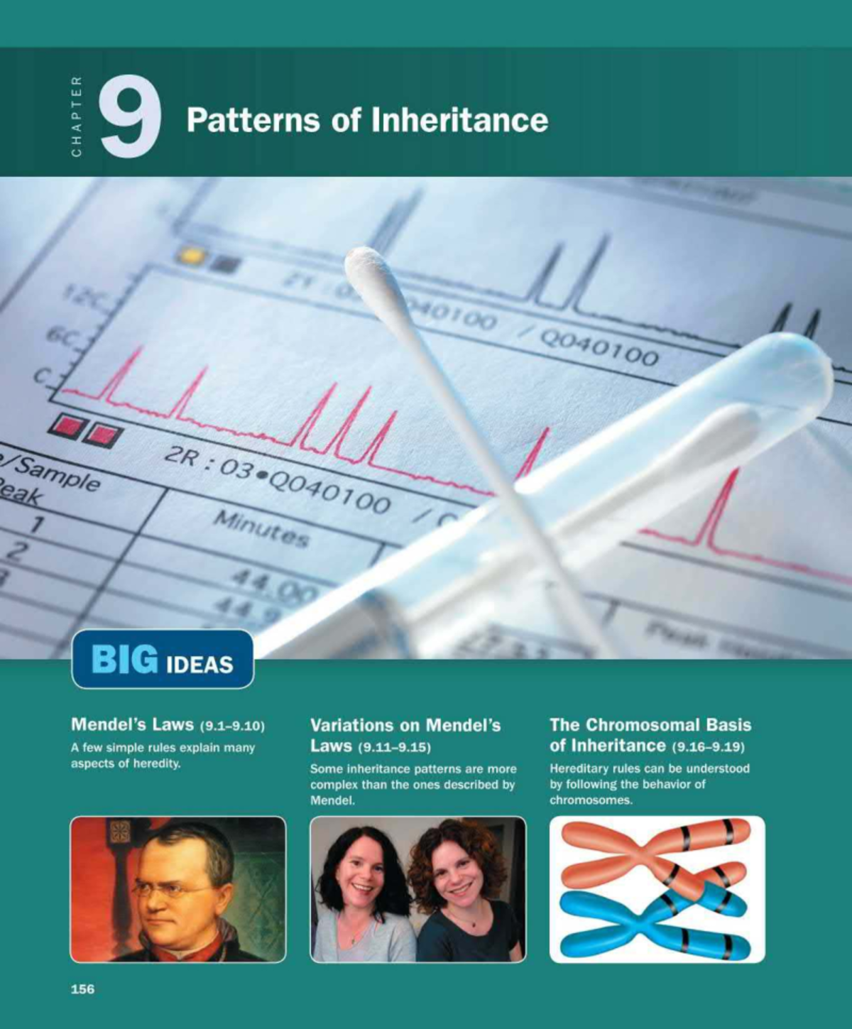 9.0 Chapter 9: Patterns of Inheritance in Genetics - Campbell Biology ...