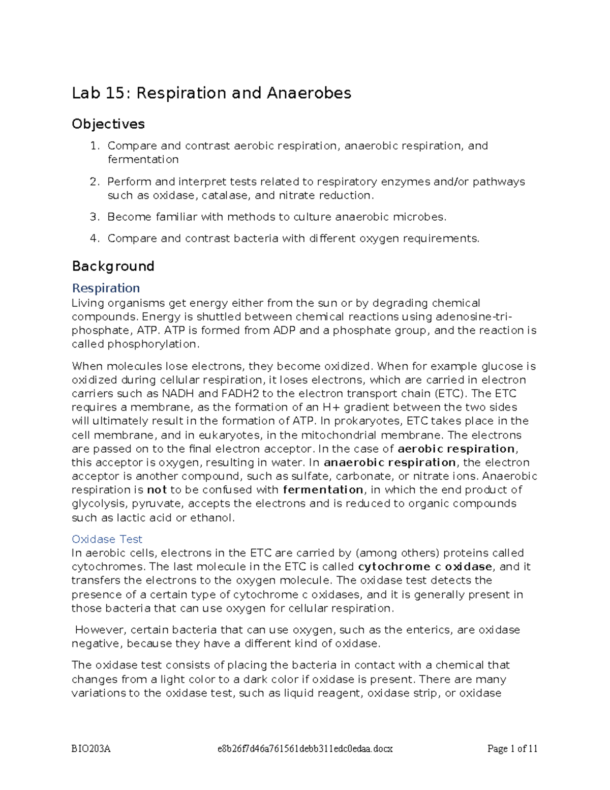 BIO203A Lab 15: Respiration and Anaerobes Overview and Tests - Studocu