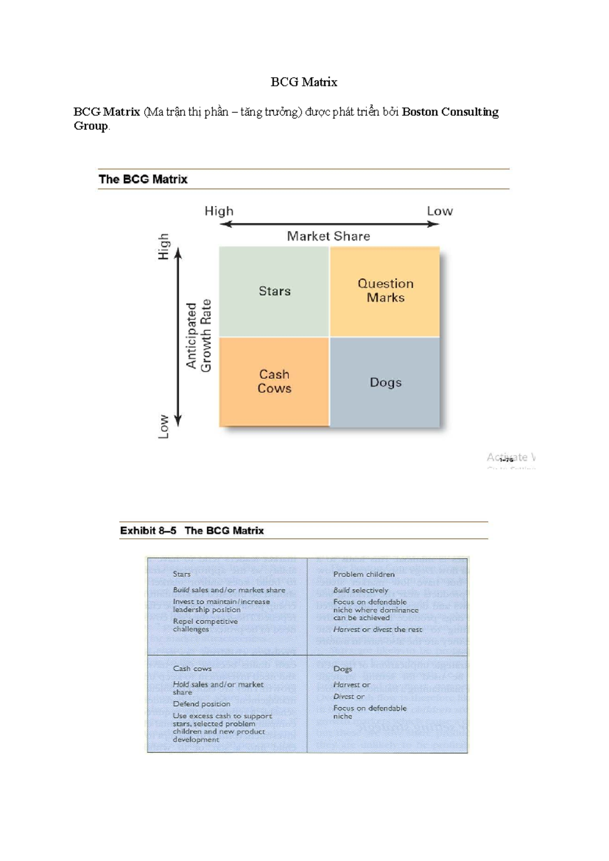 BCG Matrix Analysis: Market Share & Growth Strategies - Studocu