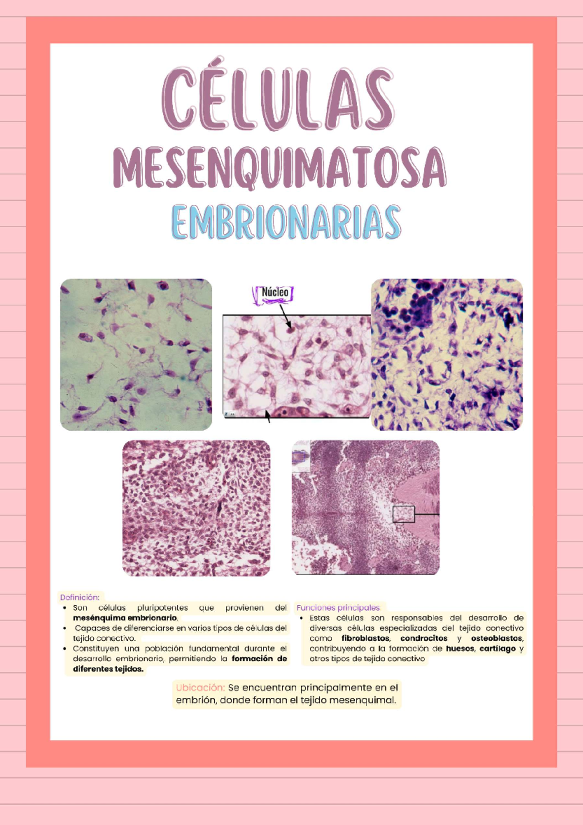 PPT - Patología Hepática y de la Vía Biliar PowerPoint Presentation -  ID:869885, image size:1200x1697