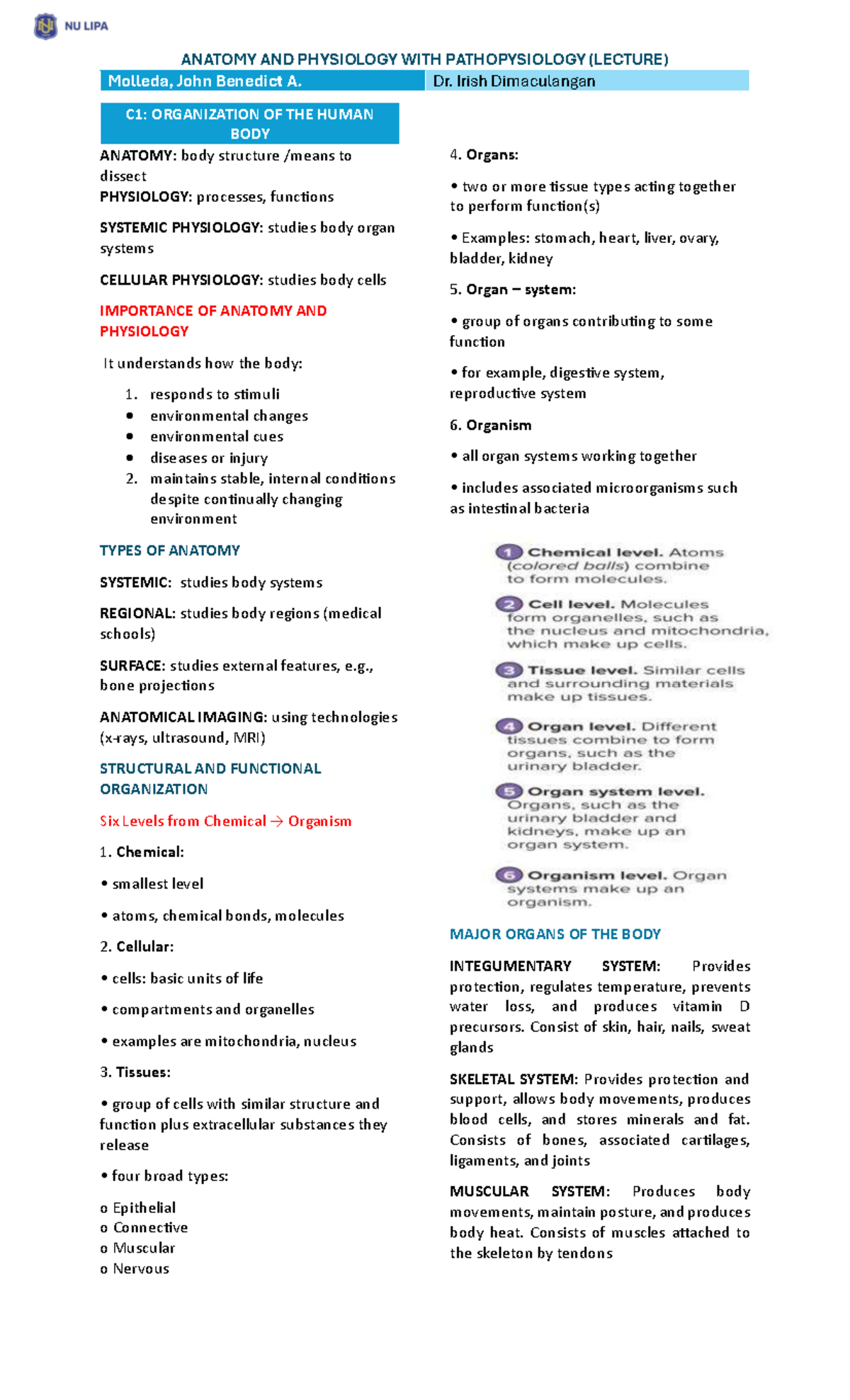 ANATOMY AND PHYSIOLOGY WITH PATHOPHYSIOLOGY (LECTURE) C1-C5 Notes - Studocu