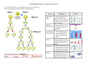 Flow of Matter: Definitions of Autotrophs, Heterotrophs, and More - Studocu
