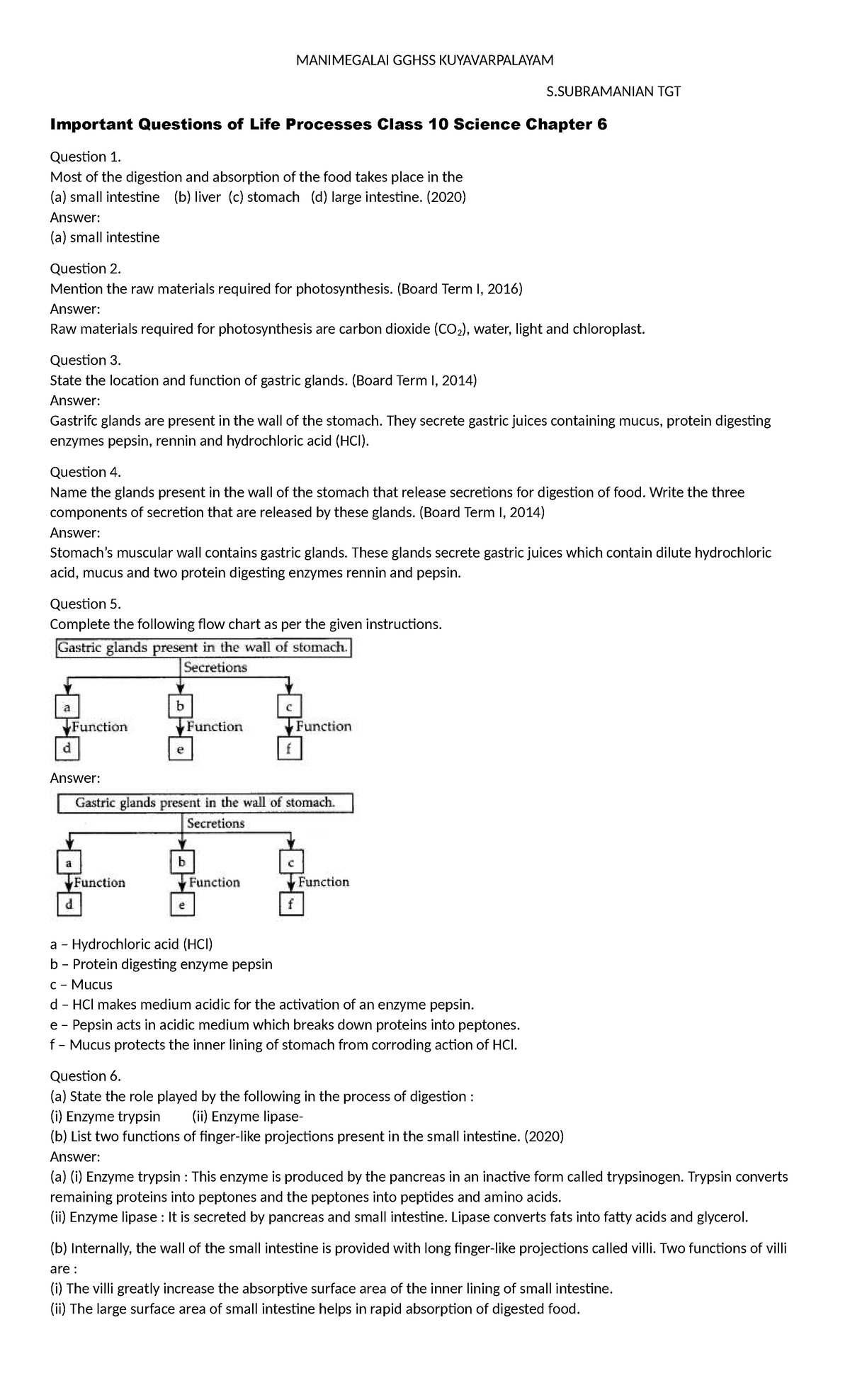 Important Questions on Life Processes for Class 10 Science (Chapter 6 ...