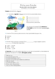 Ficha Ciências 5 Ano: Estudo sobre Água e suas Propriedades