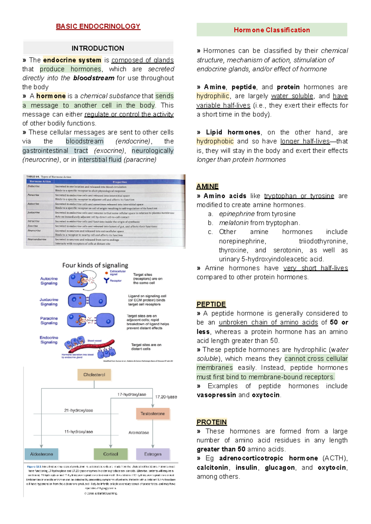 Basic Endocrinology Cclec-Trans - BASIC ENDOCRINOLOGY INTRODUCTION ...
