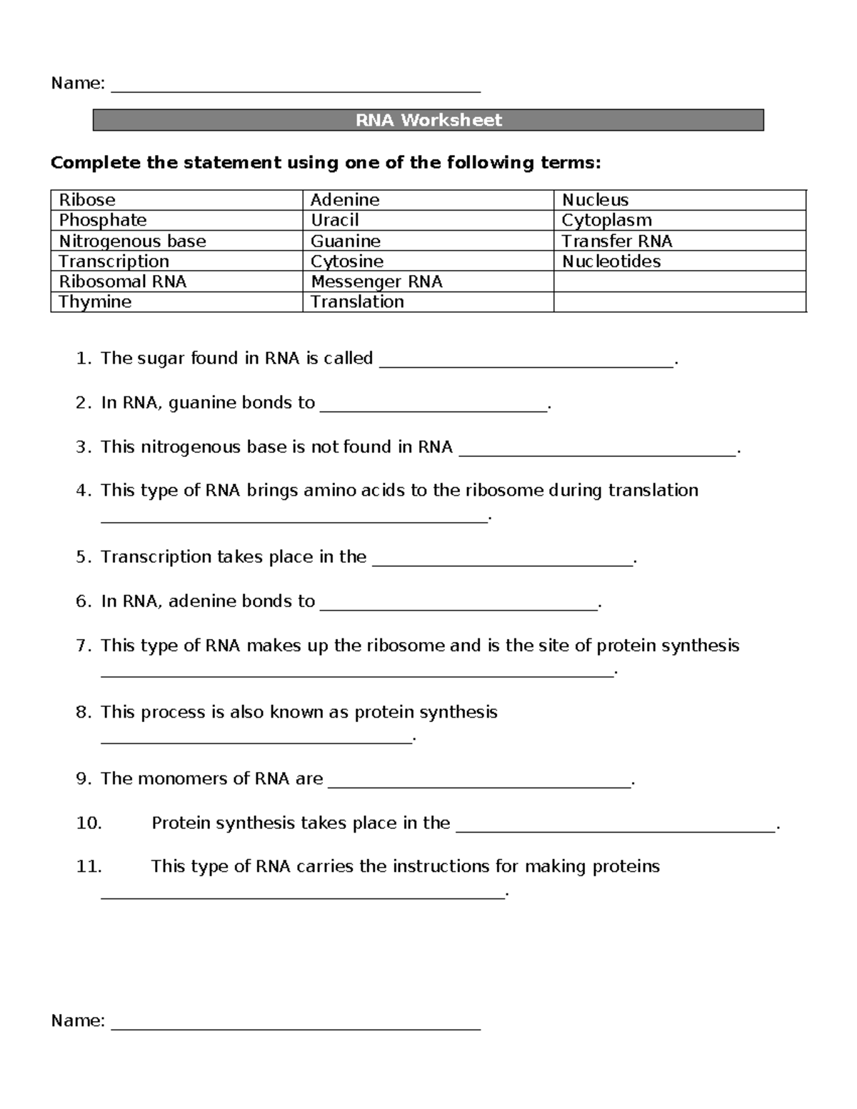 RNA Worksheet: Protein Synthesis & Transcription/Translation Activities ...