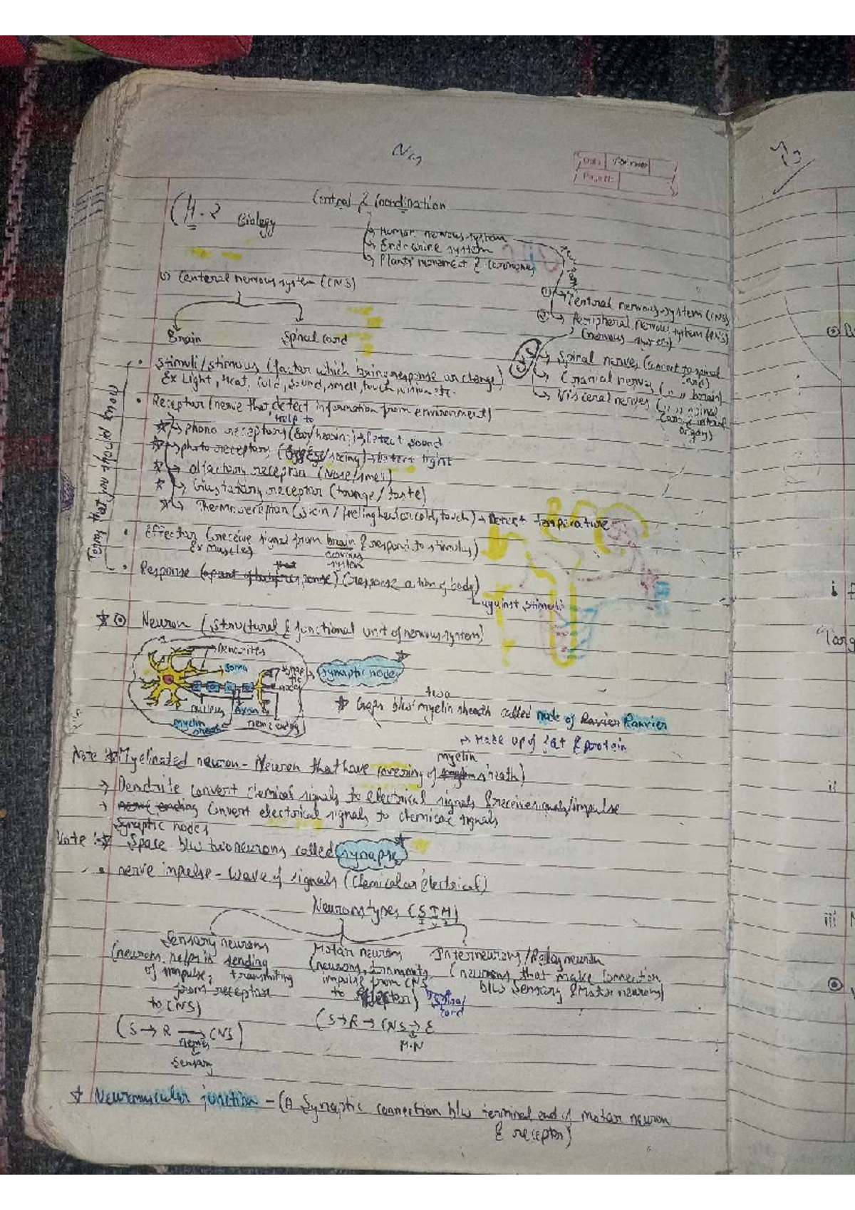 Control and Coordination in Biology (H.2) - Comprehensive Notes - Studocu